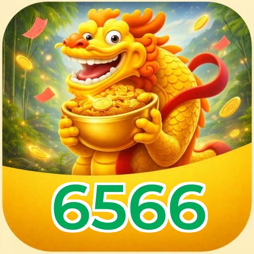 FAQ 6566 Brasil